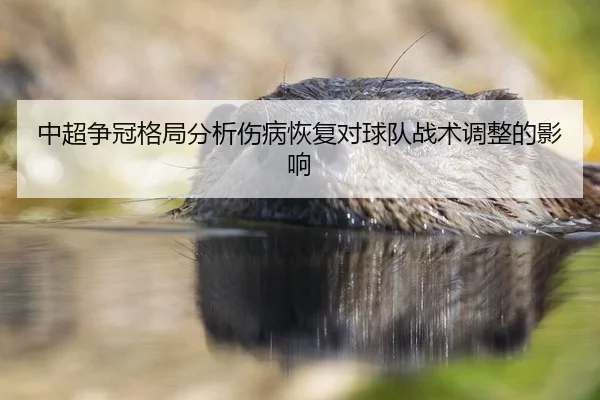 zhong-chao-zheng-guan-ge-ju-fen-xi-shang-bing-hui-fu-dui-qiu-dui-zhan-shu-tiao-zheng-de-ying-xiang-1-727.jpg